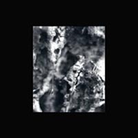 Various Artists :: An Uncommon Nature