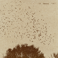 If,Bwana - 31