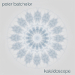 Peter Batchelor - Kaleidoscope