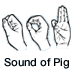 Sound of Pig Cassette Mail Order Catalogue